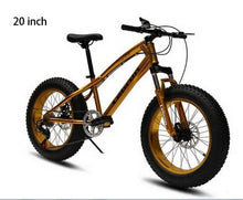 off-road damping new mountain bike / speed / large tires wide tires 4.0 snow bike/Ergonomic hand