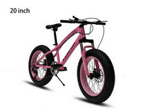 off-road damping new mountain bike / speed / large tires wide tires 4.0 snow bike/Ergonomic hand